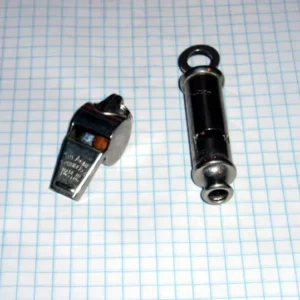 Security whistle