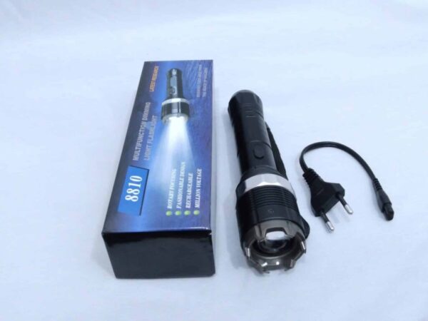 Security torch with electric shock